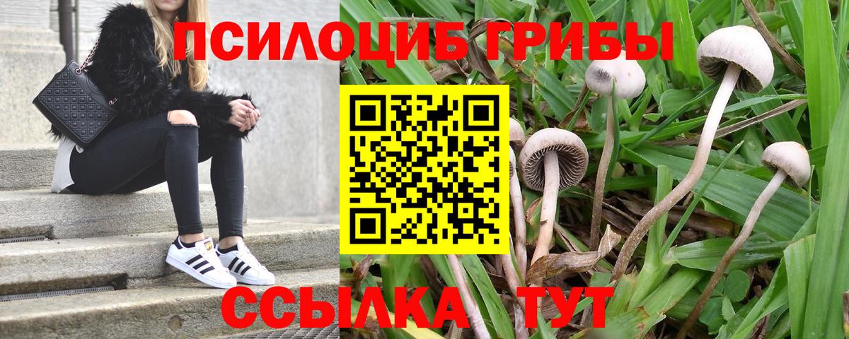 Галлюциногенные грибы GOLDEN TEACHER  Вход с VPN  Топки 